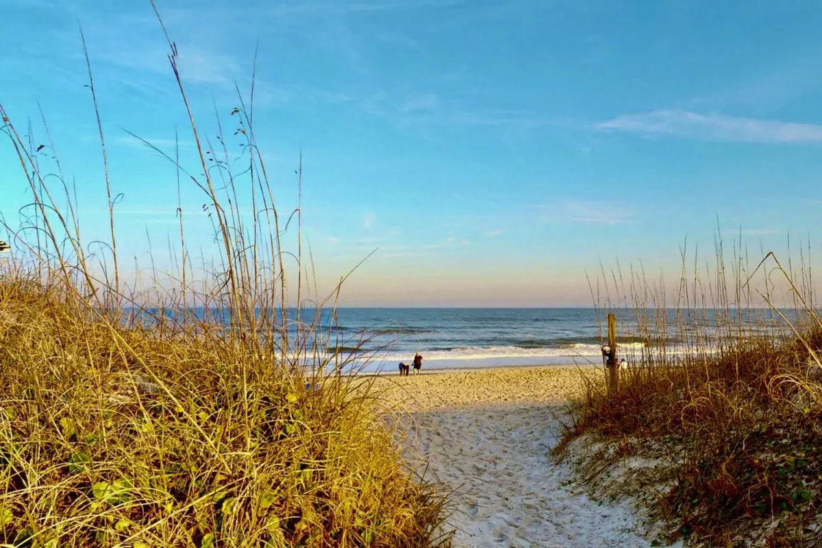 A serene beach scene with dune grass, people walking along the shoreline, and the sun setting over the ocean. There's a sense of openness and freedom, hinting at the dog-friendly atmosphere where both humans and pets can enjoy playing and exploring.